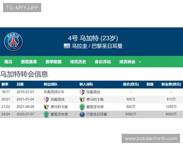 如何选择可靠的米兰体育投注平台保障你的资金安全与投注体验