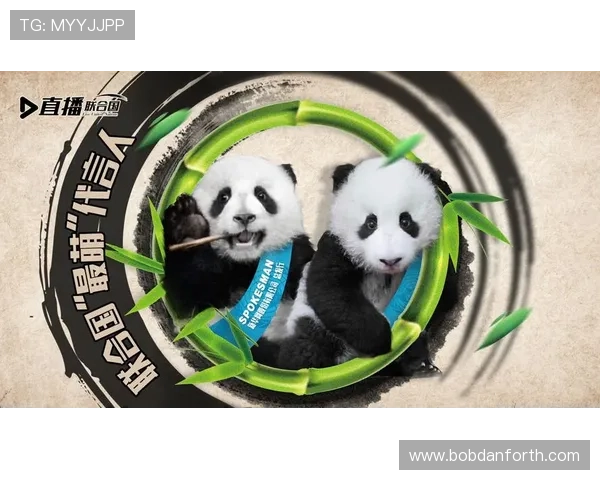 探索熊猫直播平台的独家特色内容,满足不同用户的娱乐和学习需求